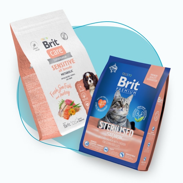 Рекомендуй и продавай корм Brit